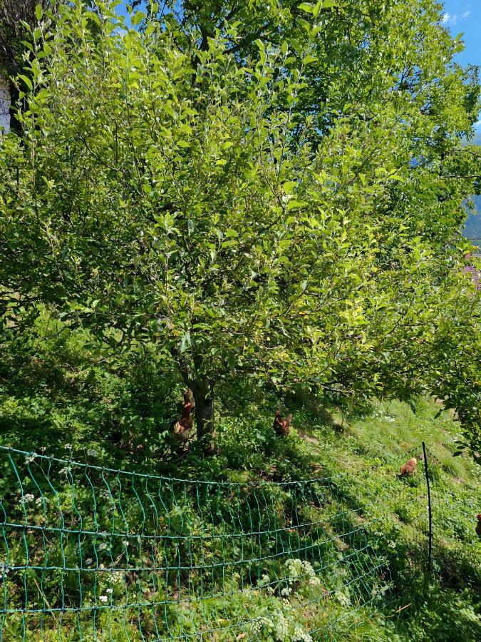Appartamento Charming Bella Hideout - Adults Only Jesenice Esterno foto