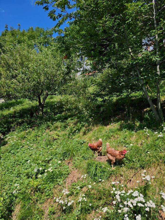 Appartamento Charming Bella Hideout - Adults Only Jesenice Esterno foto